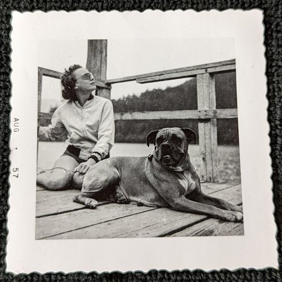 20% OFF Vintage Pet Photograph – Lucky-the-Boxer – c 1957 - Picture 7 of 7